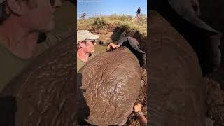 Baby Elephant And Mom Are Stuck In A Well Full Of Water  The Dodo [upl. by Tevlev]