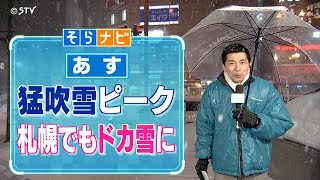 【そらナビ】あすの北海道 猛吹雪ピーク 札幌でもドカ雪に [upl. by Lorsung]