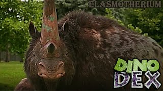 dino dex elasmotherium screen time [upl. by Shellans]