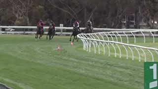 Strathalbyn 241024  Club Jump Out 11 [upl. by Ahsien926]