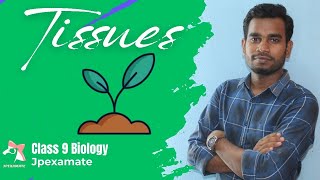 TISSUE  CLASS 9  BIOLOGY  NCERT  OAV  PLANT TISSUE  JPEXAMATE [upl. by Hillier]