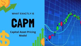 CAPM Capital Asset Pricing Model EXPLAINED [upl. by Vine]