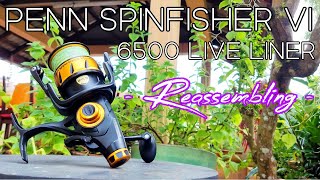 Penn Spinfisher VI 6500 Live Liner  Part 22 Reassembling  Reel service and maintenance [upl. by Nylidam]