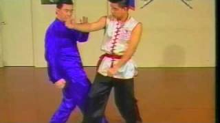 Choy Li Fut  Fighting Applications 12 [upl. by Nolasba159]