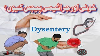 Dysentery Types I Bacillary Sign Symptoms Treatment I Faisal Shaheen [upl. by Skye]