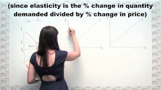 Microeconomics Practice Problem  Taxes and Elasticity [upl. by Home878]