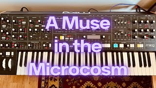 Moog Muse and Hologram Microcosm [upl. by Tichonn]