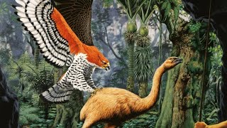 New Zealands extinct haasts eagle [upl. by Nnaecarg]