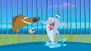 Zig amp Sharko  Waterski Hit S01E13  Full Episode in HD [upl. by Neneek966]