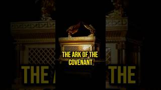 Lost Artifact Is the Ark of the Covenant Hidden in Ethiopia mystery history ancient joerogan [upl. by Cannice885]