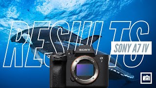 Sony a7IV Underwater in Socorro  Ikelite 200DL Housing4K [upl. by Eecyal]