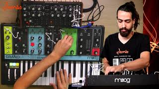 Moog Grandmother and Moog DFAM live session at Kilombo [upl. by Amarette]