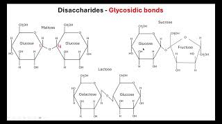 Saccharides OCR A ALevel Biology Revision Module 2 Biological Molecules [upl. by Winer]