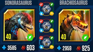 SONORASAURUS VS BRACHIOSAURUS ALL EVOLUTIONS ALL X3 LV 40  JURASSIC WORLD THE GAME [upl. by Averyl576]