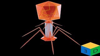 Bacteriophage StructureTech Science [upl. by Bonucci363]