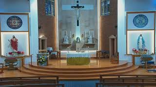 Catholic Mass for Thursday of 25th Week Ordinary Time  26 Sept 2024  8am [upl. by Ysor422]