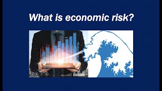 What is economic risk [upl. by Nadiya]