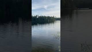 Maine Fishing newcountry music newcountryartist viralvideo youtubeshorts fishing mainemusic [upl. by Salinas525]