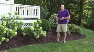 Front Yard Landscape Design Ideas  Trumbull CT Landscape Designer [upl. by Crichton85]