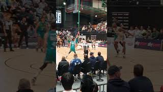 TUATARA vs BULLS NZ basketball [upl. by Ynamad480]