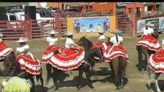 jaripeo en Joliet Illinois illinois latino tve tv chicago IL [upl. by Saxe271]