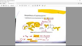 Cephalosporins 01 [upl. by Ernestus]