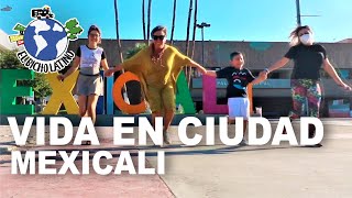 22  VIDA EN CIUDAD  MEXICALI [upl. by Auhsej6]