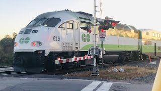 Metrolinx 615  Westbound GO Train Traveling On The Guelph Sub At Alma St Crossing [upl. by Ellyn]