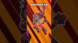 Best Incineroar Build for Competitive Battles in Pokémon Scarlet and Violet pokemonscarletandviolet [upl. by Verlee]