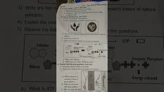 10th standard rayat shikshan Sanstha semester 1 2024 2025 questions paper of science part 2 [upl. by Marge]