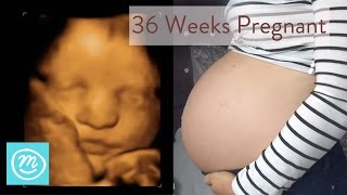 36 Weeks Pregnant What You Need To Know  Channel Mum [upl. by Ytineres]