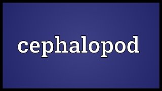 Cephalopod Meaning [upl. by Thor]