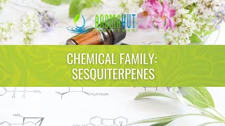 Sesquiterpenes Aroma Hut Institute [upl. by Smeaj90]