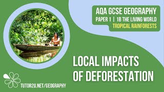 Local Impacts of Deforestation  AQA GCSE Geography  Tropical Rainforests 6 [upl. by Acinat705]