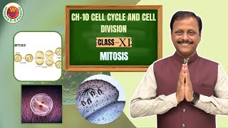 Mitosis  Ch10 Cell Cycle and Cell Division  Class 11  NEET  CBSE  Bio by Gulab Sir [upl. by Kirkpatrick]