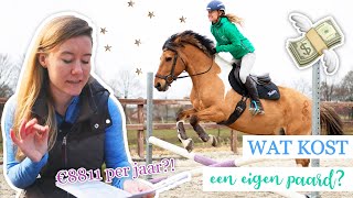 Wat moet je allemaal weten voor je EERSTE EIGEN PAARD  felinehoi PAARD KOPEN 1 [upl. by Uyerta485]