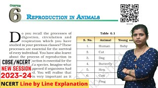 Reproduction in Animals  Class 8 Science Chapter 6 Full Chapter [upl. by Okiman192]