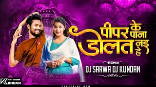 PIPAR KE PANA DOLAT NAI HE  CG REMIX  DJ SARWA OFFICIAL [upl. by Nonnahc776]