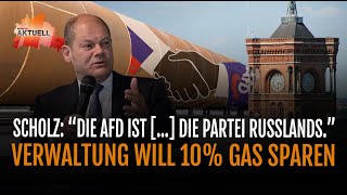 Scholz nennt AfD „Partei Russlands“   Neues Bleiberecht130000 Menschen betroffen [upl. by Bortz267]