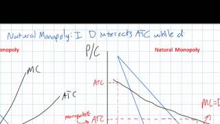 Natural Monopoly and the need for Government Regulation [upl. by Fina]