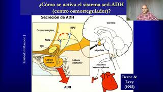 Clase 29 Fisiología Circulatoria  Sistema de líquidos RenalCorporal IGdoctorpaiva [upl. by Anom]