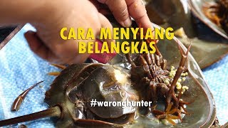 CARA MENYIANG BELANGKAS  WARONGHUNTER [upl. by Lancey]