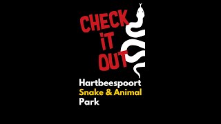 Hartbeespoort Snake and Animal Park  🐍shorts thingstodo [upl. by Earal]