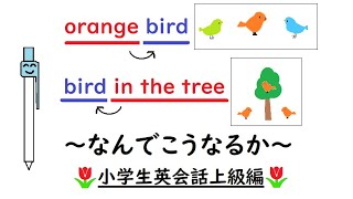 英語を話す練習３２６【The chirping bird  The bird chirping in the tree 】〈名詞の修飾の仕方〉〈形容詞句・後置修飾・形容する〉小学生英会話上級編 [upl. by Ferdie797]