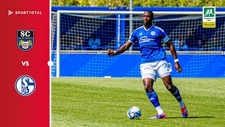 Elfmeterdrama und erster Saisonsieg  SC Wiedenbrück vs FC Schalke 04 U23  Regionalliga West [upl. by Nnoryt]