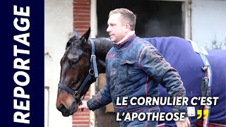 IDÉALE DU CHÊNE TROUBLEFÊTE EN PUISSANCE DANS LE PRIX DE CORNULIER [upl. by Huberty]