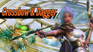 Crossbow amp Dagger Full Arena  Throne and liberty [upl. by Drofnas]