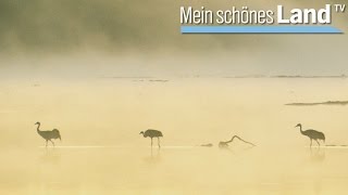 Spätsommer in der Nordheide  die schönsten Höfe Norddeutschlands NDR [upl. by Anialeh]