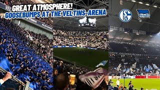 Incredible Moments in Schalke 04 Home Match Against Hertha Berlin at VeltinsArena [upl. by Nolita]