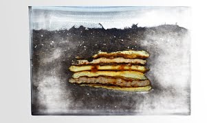 McDonalds McRib in Soil  Time Lapse [upl. by Vannie]